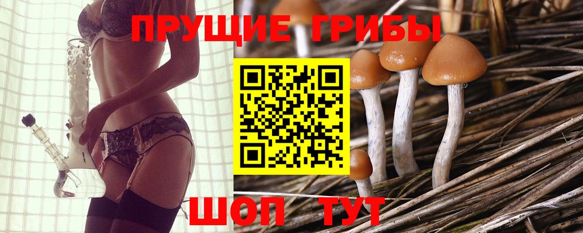 Сафоново  Галлюциногенные грибы GOLDEN TEACHER  Вход с VPN  Псилоцибиновые грибы мицелий 