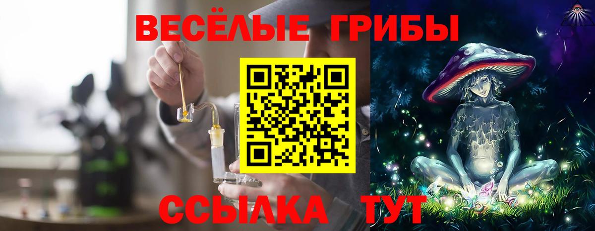 Галлюциногенные грибы Psilocybine cubensis Сафоново